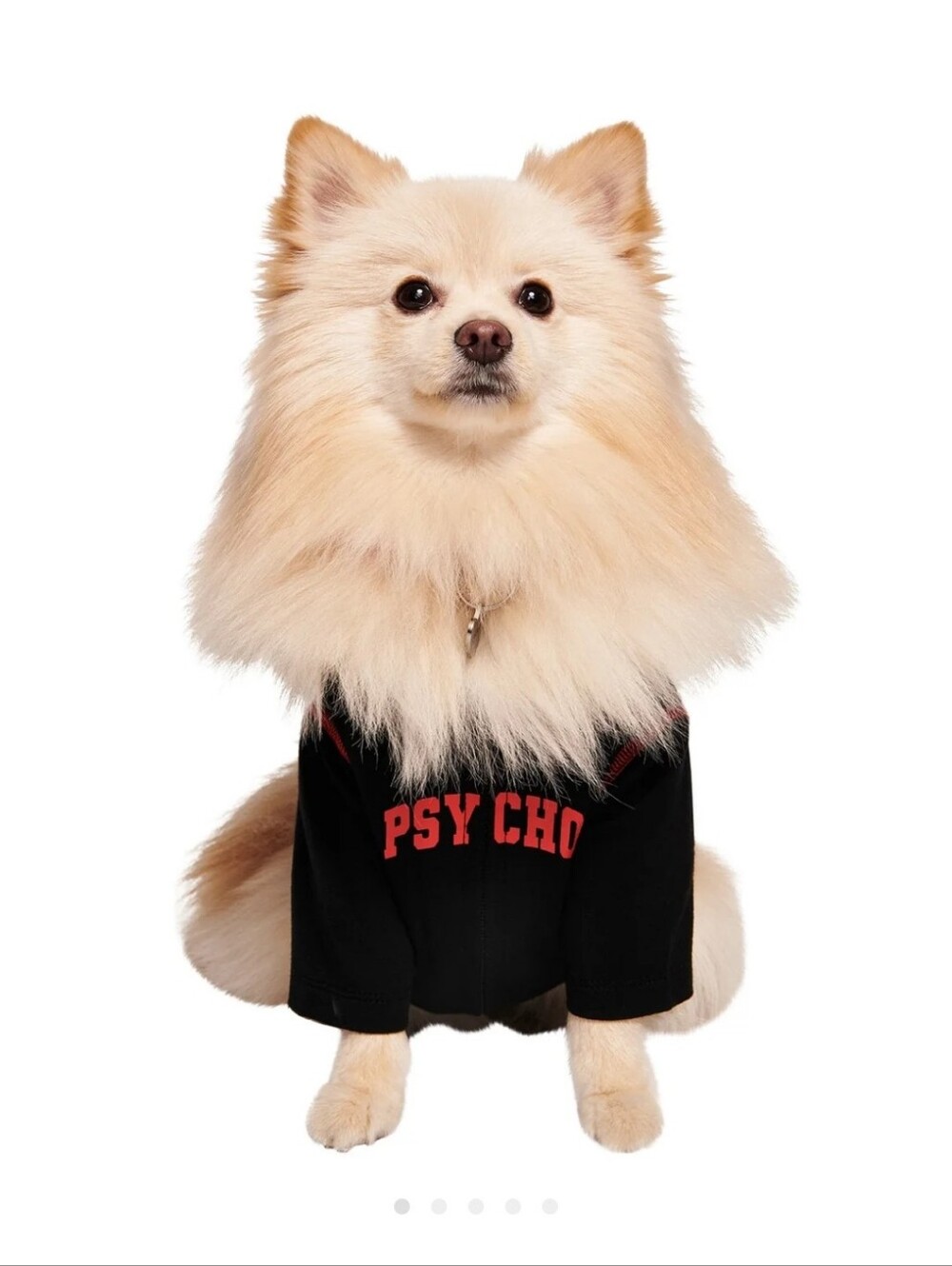 I.Am.Gia Dog Hoodie